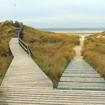 Bude 6